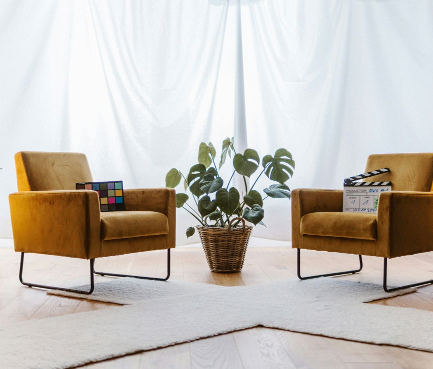 a living room with two chairs and a plant
